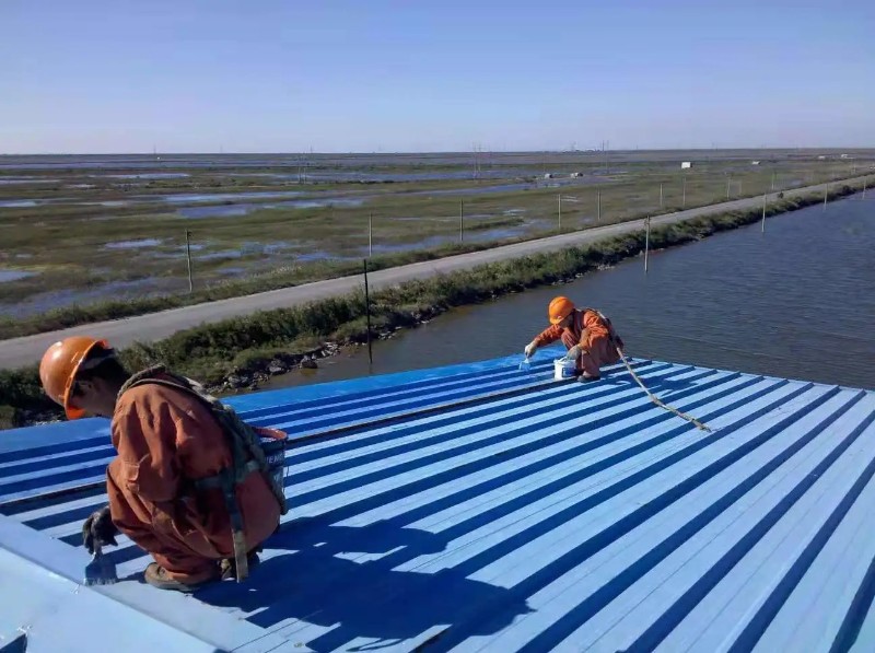 南召彩钢瓦屋面防腐翻新